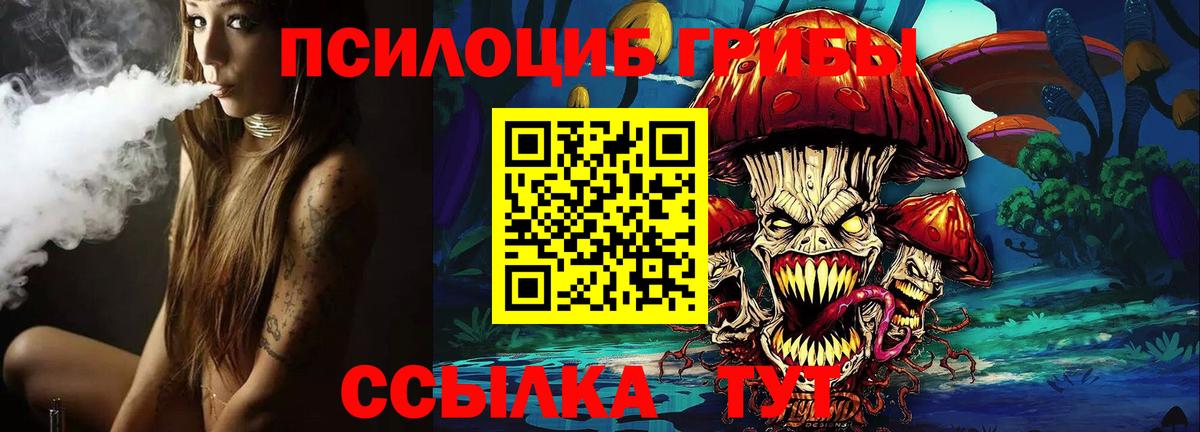 Галлюциногенные грибы Psilocybe Сафоново