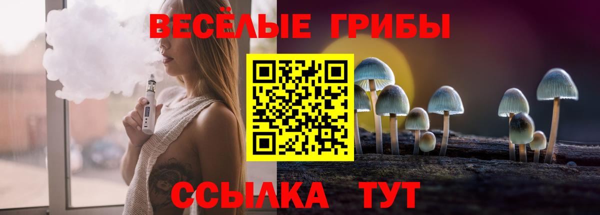 как найти   Псилоцибиновые грибы MAGIC MUSHROOMS  Вход с VPN  Псилоцибиновые грибы MAGIC MUSHROOMS  Сафоново 